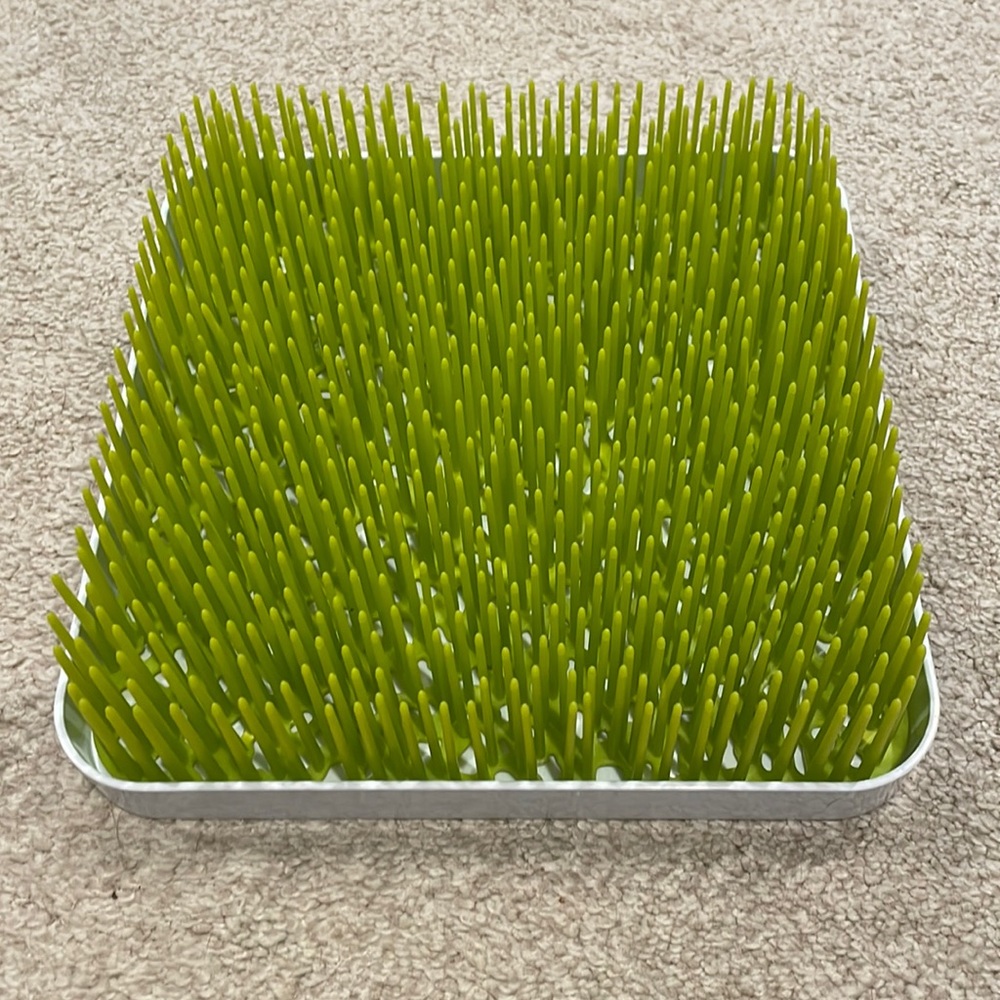Boon Grass